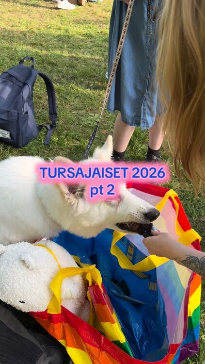 Tursajaiset osa 2 klippeinä kamerasta. Entä näkyyks tääl tuttuja?! //&hellip;